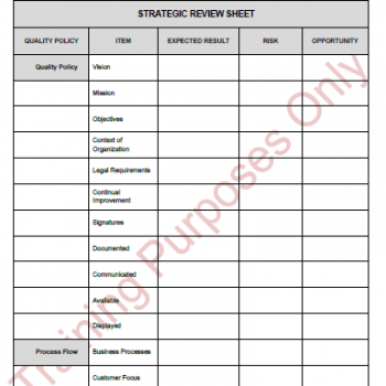 Strategic Review Strategic Review